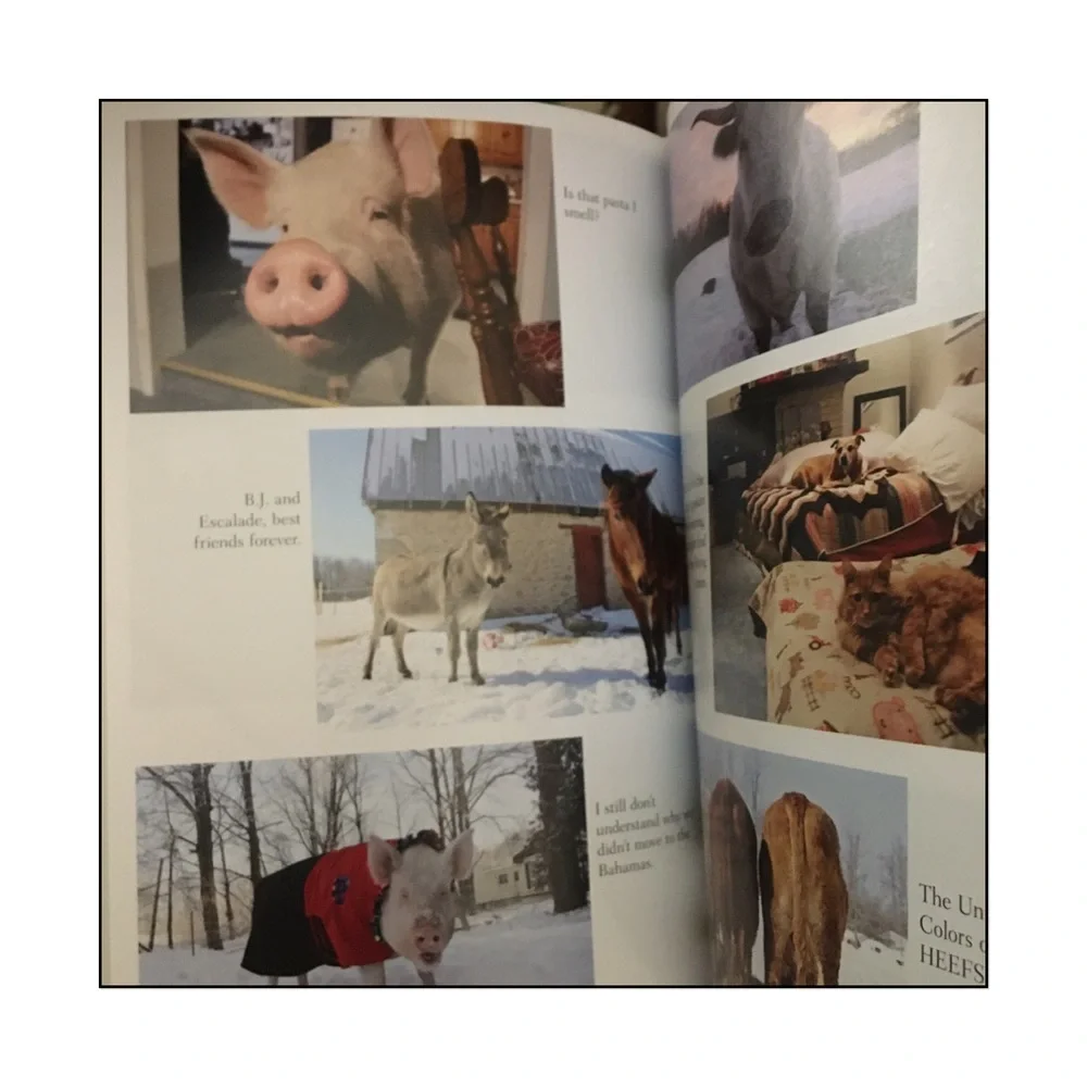 Happily Ever Esther Wonder Pig Biography Hardback